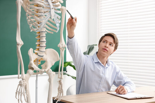 Teacher demonstrating human skeleton model in classroom. Anatomy lesson