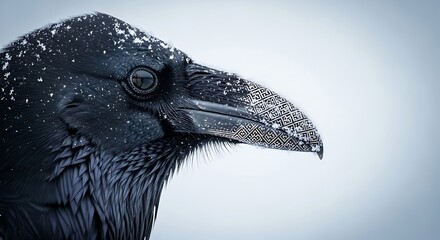 Fototapeta premium Close-up of a raven's head covered in snow, showcasing detail against a blurred, light background