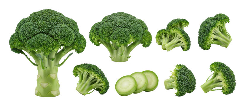 Harvesting fresh broccoli farm field vegetable showcase outdoors isolated on transparent background