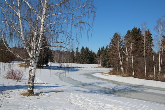 winter landscape with trees, William Hawrelak Park, Edmonton, Alberta