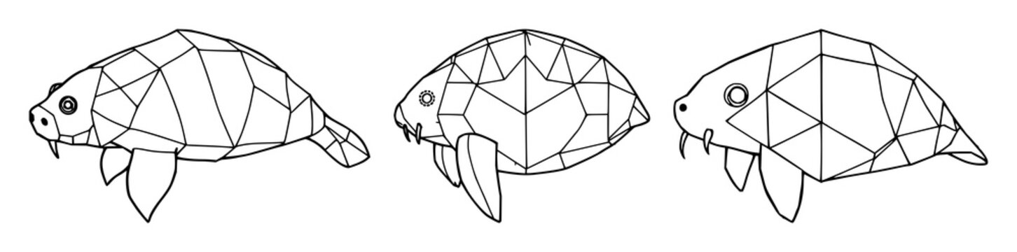 Geometric tardigrade set with symmetrical line art of a microscopic biology theme featuring white background, modern style, detailed limbs with segmented body and clear contours