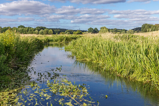Oberlauf der Eider bei Hohehude in Schleswig-Holstein, Deutschland. Die Eider ist hier noch ein gro&szlig;er Bach, mit Ufervegetation und mit Pfeilkraut