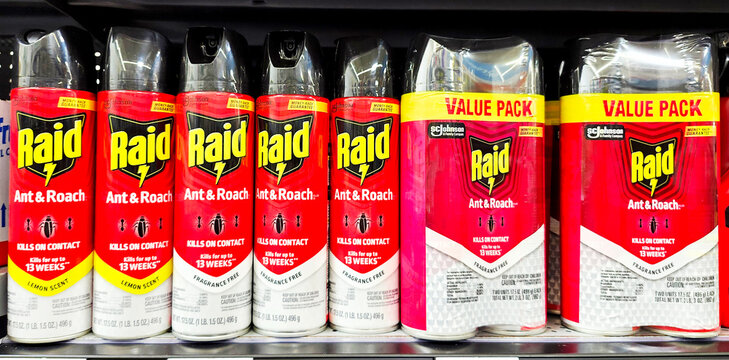 Raid Ant & Roach Bug Killer spray cans