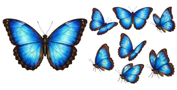 A beautiful collection of watercolor blue morpho butterflies, featuring vibrant blue wings with dark edges in various flying positions, isolated on a transparent background.