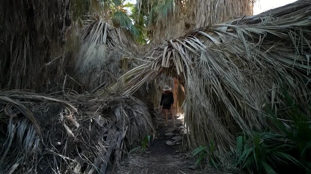 Mature woman explores the Dos Palmas oasis near Salton Sea in California walking along paths surrounded by palm trees and nature.