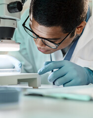 Man, scientist and petri dish with microscope in lab for research, disease study and medical...