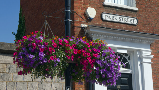 Colourful hanging basket on Park Street, Henley on Thames, Oxfordshire, England