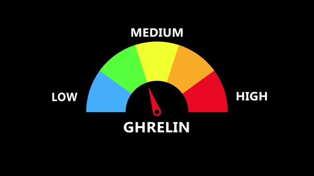 Ghrelin level indicator on dark interface with vibrant arc spectrum and central needle visualizing appetite hormone intensity from low to high in digital healthcare monitoring dashboard design