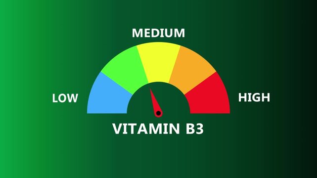 Vitamin B3 level gauge on teal interface with multicolor semicircle spectrum and needle indicator representing niacin balance from low to high in modern digital healthcare monitoring dashboard