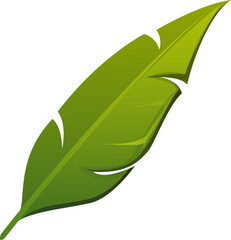 Naklejka premium Pirate font or Caribbean corsairs typeface, vector cartoon piracy typography. Punctuation mark or slash sign of palm tree leaf for pirate font or corsairs type and marine sailing adventure typeface