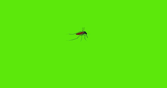 cartoon mosquito sucking blood green background