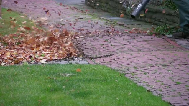 Leaf blower. HDV footage. HD.