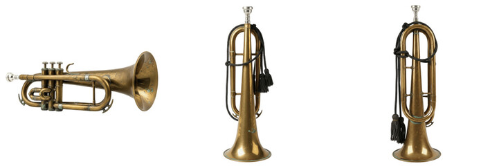 Set and collection of vintage brass trumpet musical instruments in different angles isolated on white transparent png background © incredibleshots