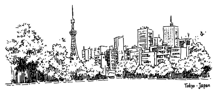 Tokyo Japan skyline sketch with Tokyo Tower and skyscrapers, urban cityscape panorama with trees hand drawn line art vector illustration