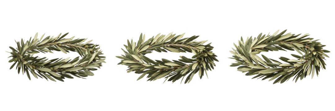 Set of green olive leaf wreaths and ancient greek laurel crown collection isolated on white transparent png background
