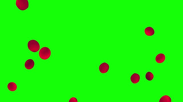 A vibrant video showcasing red bubbles floating on a bright green background