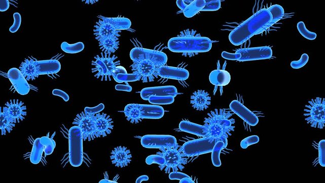 3D Gut Bacteria | Alpha Channel