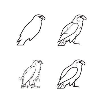 Four different line drawings of hawks