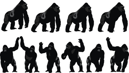 Set of gorilla silhouettes showing walking and waving poses, black primate character collection isolated wildlife animal vector illustration design pack © Mokarrom