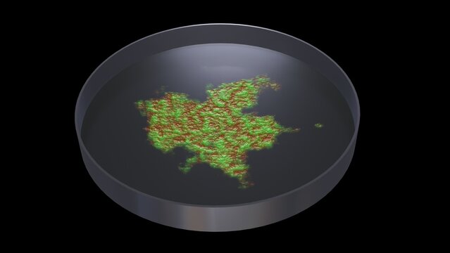 Bacteria growing in petri dish. Microbes reproducing in petri dish. Lab grown meat. Synthetic lab grown food. 3d render illustration isolated on black background.