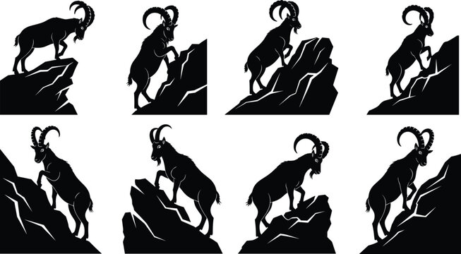 Set of black mountain goat silhouettes climbing rocky cliffs isolated on white background vector illustration for nature wildlife design elements.