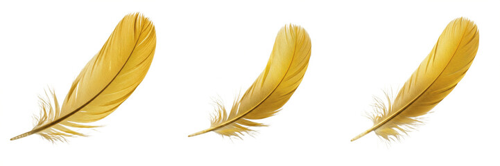 Gold feathers isolated on white background, yellow bird plumage set, realistic 3d render wings...
