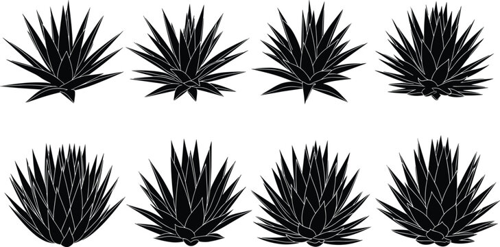 Set of spiky agave plant silhouettes featuring various desert succulents isolated on white background for garden design vector illustration.