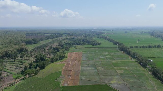 Cinematic aerial panorama of vast teak forests and agricultural lands with Mount Lawu on the horizon.