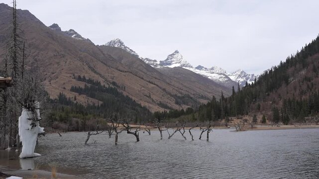 Mountain lake valley with calm water, snow peak, forest pine tree and dead branch, distant glacier ridge, overcast sky, rugged alpine slope, serene late autumn wilderness landscape
