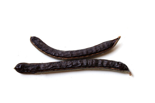 Dried rain tree pods isolated on white background