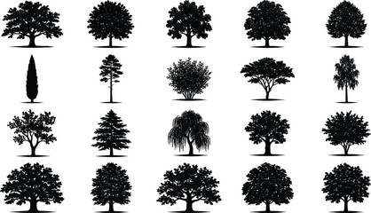 Fototapeta premium Tree and plant silhouette vector illustration, palm broadleaf conifer icons, tropical forest artwork, botanical outdoor design, landscape foliage scene - flat vector illustration