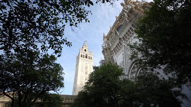 La Giralda and Seville Cathedral rise over Patio de los Naranjos in Seville, Spain. Low angle, wide angle, soft clouds, warm late afternoon light, branches sway.