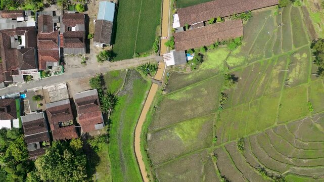Cinematic aerial view of a rural village and teak forest with Mount Lawu on the distant horizon, Ngawi.