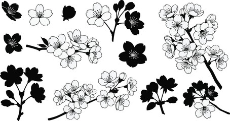 The image is a collection of black and white illustrations of cherry blossoms (Sakura) and branches. The illustrations vary in style, some are silhouettes (filled in black), while others are line draw © MDABDUL