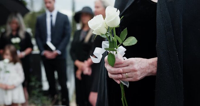 Flower, memorial and hands of woman by graveyard for remembrance, mourning or grief at service. White rose, funeral and female person at cemetery for burial ceremony for loss, sympathy or respect.