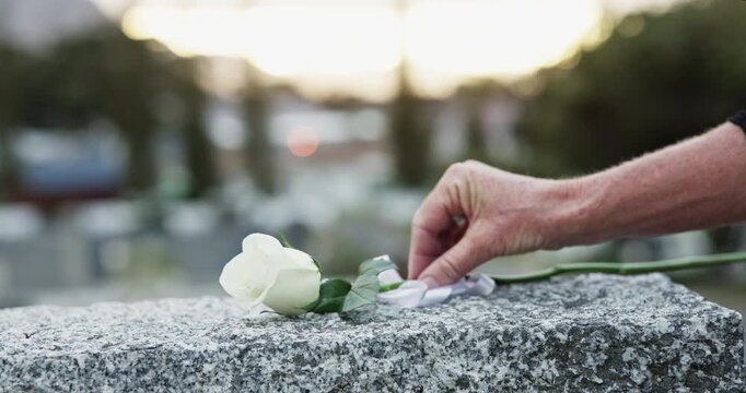 Hand, tombstone and white rose for funeral at cemetery, memorial service and pay respect. Person, graveyard and flower on gravestone for peace, grief and mourning death with remembrance for loss