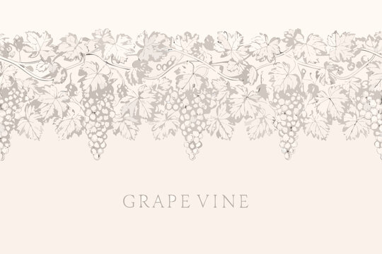 Elegant grape vine illustration forming a seamless border pattern