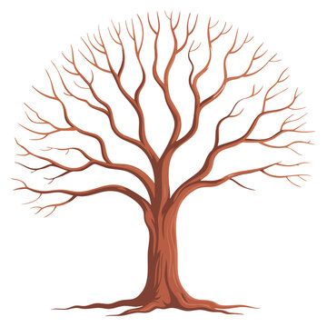 Leafless tree with gnarled branche isolated flat vector illustration on white background barren nature scene design