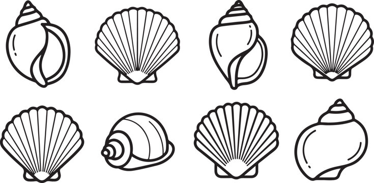 Assorted seashells and conch illustrations showcasing various shapes and patterns Vector