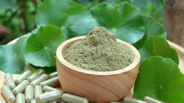 Herbal supplements centella asiatica capsules and powder with green leaves