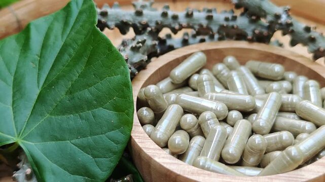 Herbal Tinospora crispa and capsules with leaves have medicinal properties.