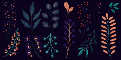 Elegant botanical illustration featuring various branches with leaves and berries © Shuvra Majumder