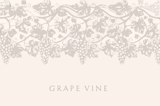 Elegant grapevine border design with detailed leaves and bunches of grapes