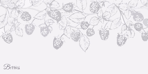 Delicate sketch of blackberry branches and ripe berries on a white background © Shuvra Majumder
