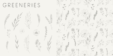 Obraz premium Delicate botanical illustrations of wildflowers and grasses on a white background