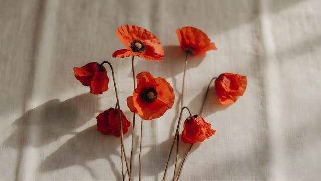 Beautiful red poppy flowers lying on a white linen fabric background