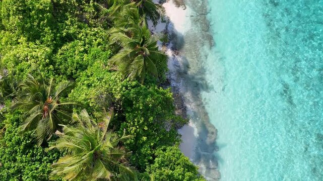 Beautiful aerial reveal of Thoddoo Island's pristine beach environment with vibrant colors, ideal for luxury travel and tourism content.