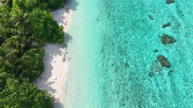 Cinematic aerial drone flight over the turquoise waters and lush green palms of Thoddoo Island beach in the Maldives.