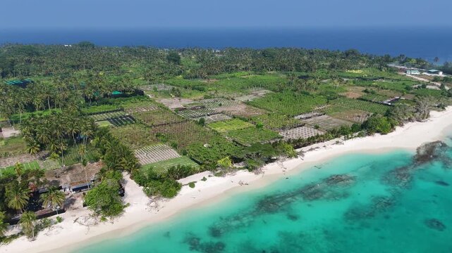 Drone flight over the lush fruit and vegetable plantations of Thoddoo, revealing the island's unique farming landscape and surrounding blue sea.