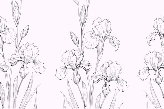 Elegant floral pattern featuring detailed line art iris blossoms and leaves